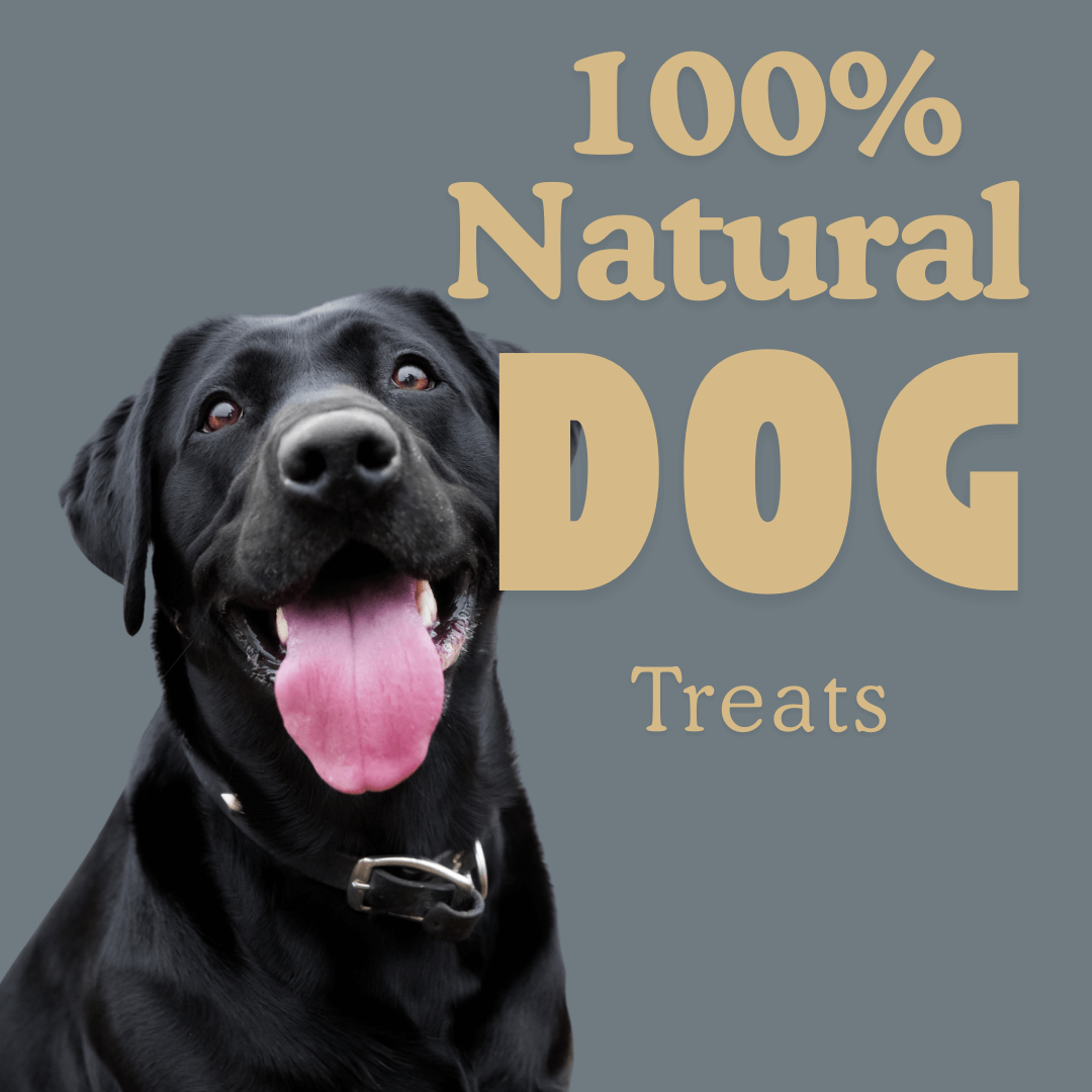Wild Natural Treats