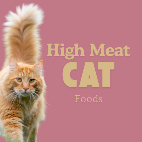 Cat Food