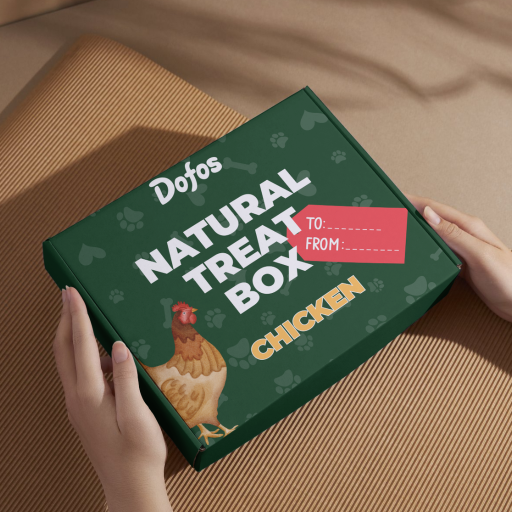 Natural Dog Treat Box