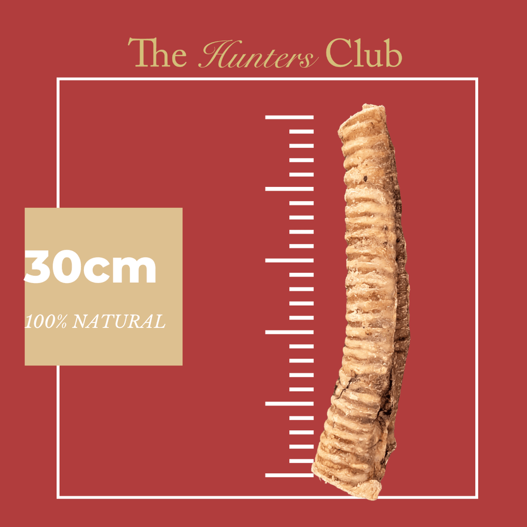 The Hunters Club Beef Trachea 30cm 2Pack
