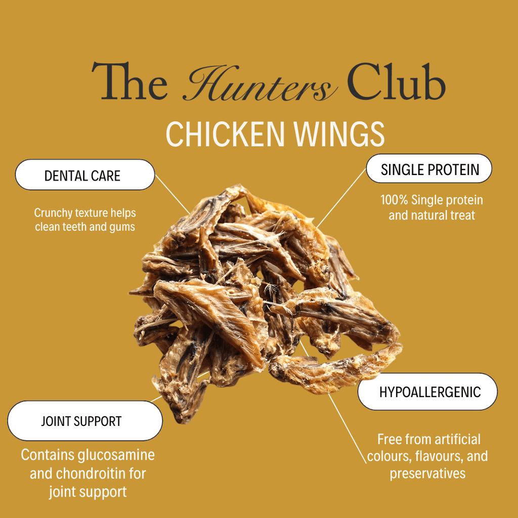 The Hunters Club Chicken Wings