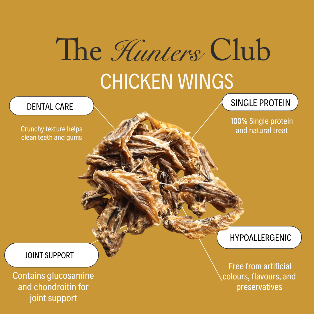 The Hunters Club Chicken Wings