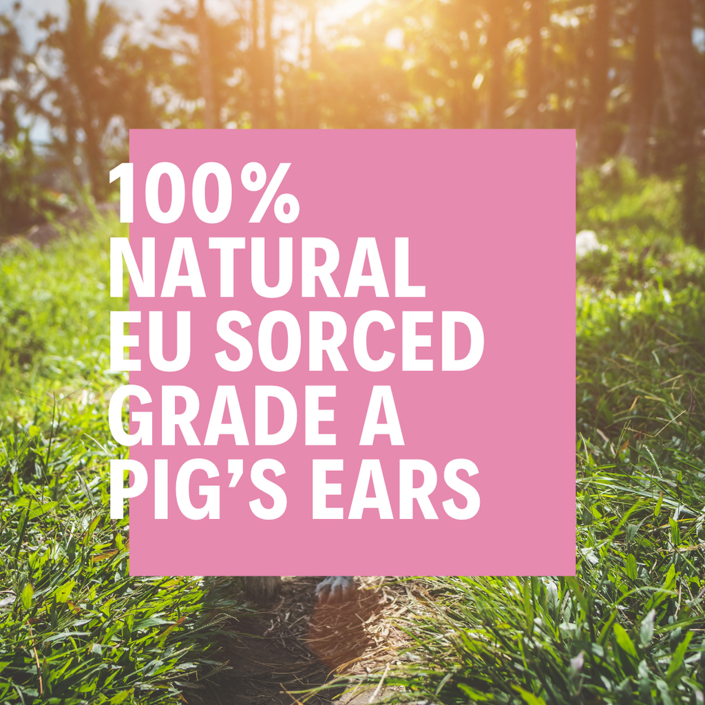 The Hunters Club Pig Ears