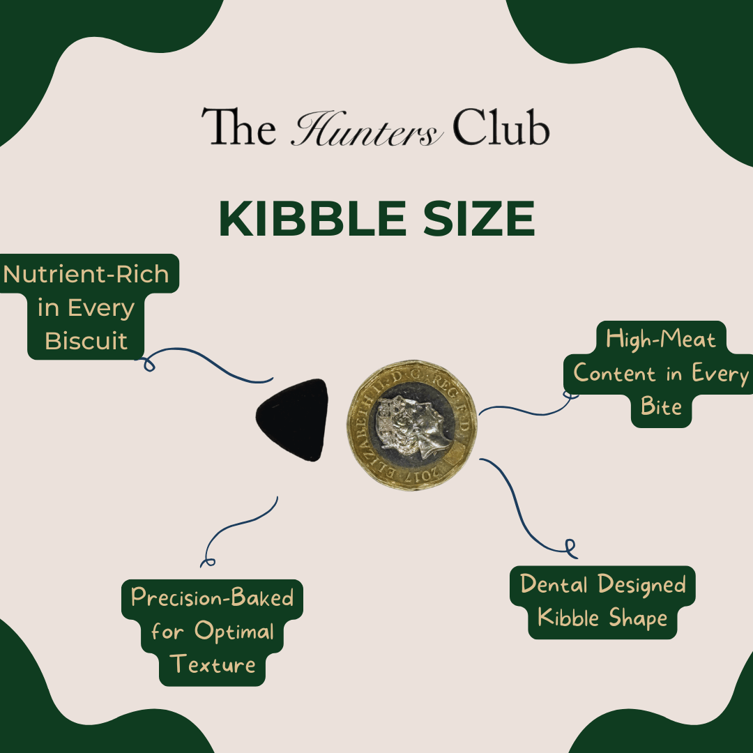 Wild 65 Puppy Scottish Salmon With Superfoods