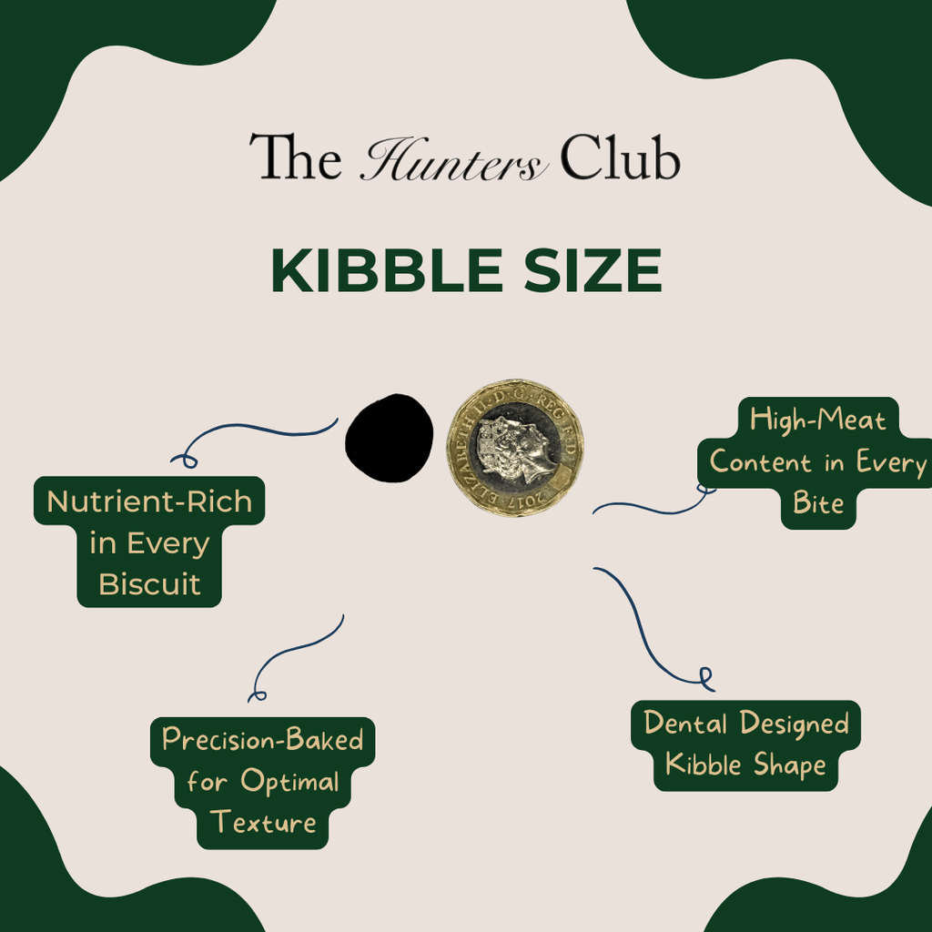 Wild Adult Light Trout Grain Free